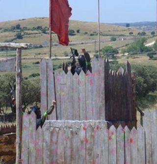 Capture the flag 